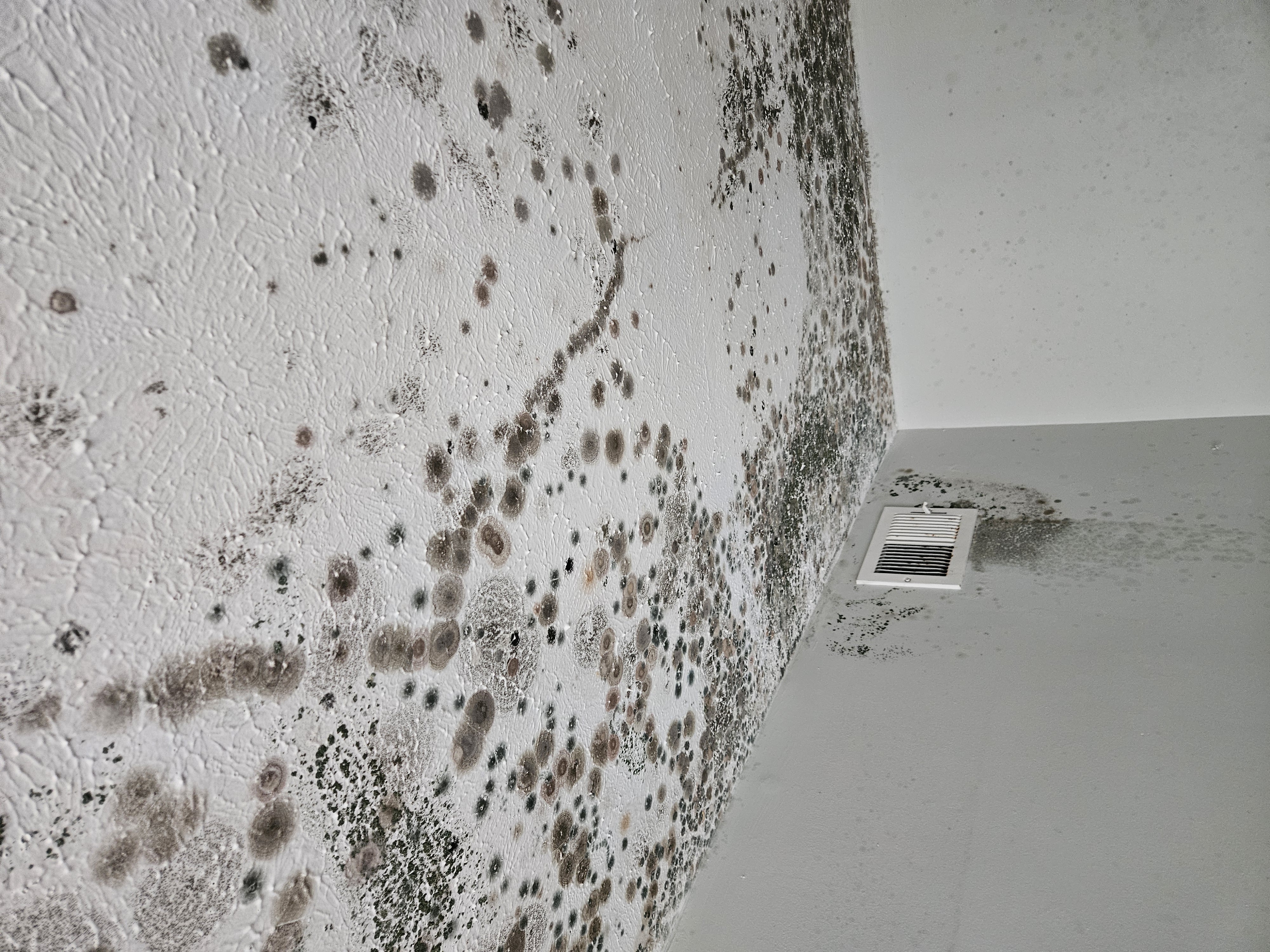 Mold remediation unit